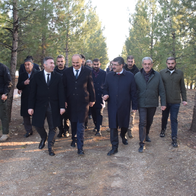 Batman'da atık ahşap malzemeden yapılan kuş yuvaları ağaçlara asıldı