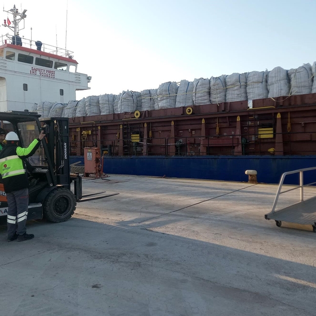 Tunus'tan iade edilen 2 bin 500 ton patates, Mersin'de imha edilecek