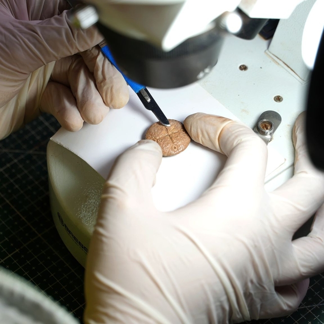 Hadrianopolis Antik Kenti'nde 5'inci yüzyıla ait oyun taşları bulundu