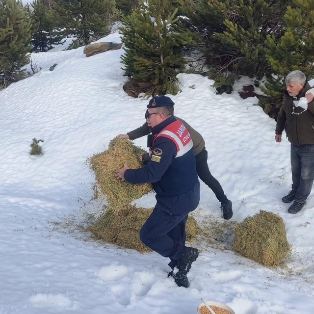 Kazdağları'nda yaban hayvanları için doğaya yem bırakıldı