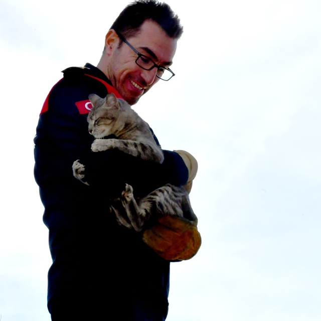 Zonguldak'ta ağaçta mahsur kalan kediyi itfaiye kurtardı