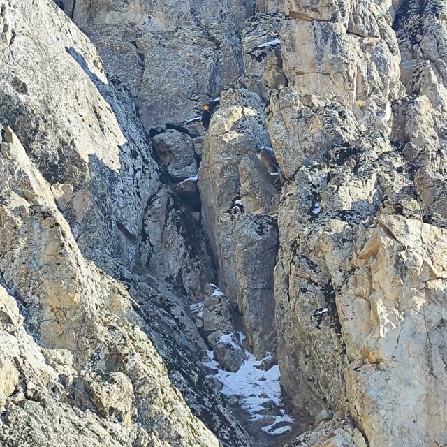 Hakkari'de kayalıklarda mahsur kalan keçiler kurtarıldı