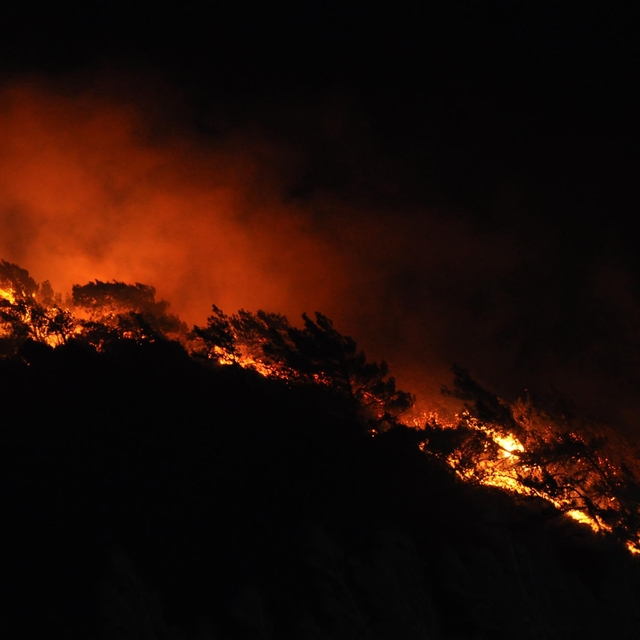 Muğla'da 15 yıl hapisle aranan hükümlü yakalandı