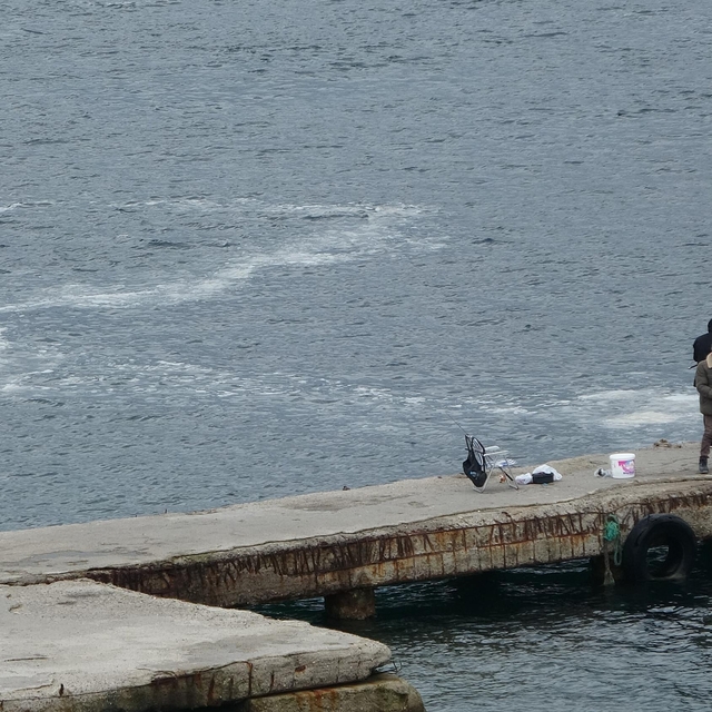 Prof. Dr. Yeşim Büyükateş'ten müsilaja karşı çözüm önerileri