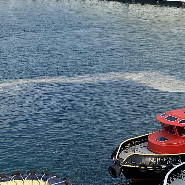 Çanakkale'de müsilajın izlenmesi için takip sistemi kurulması önerisi