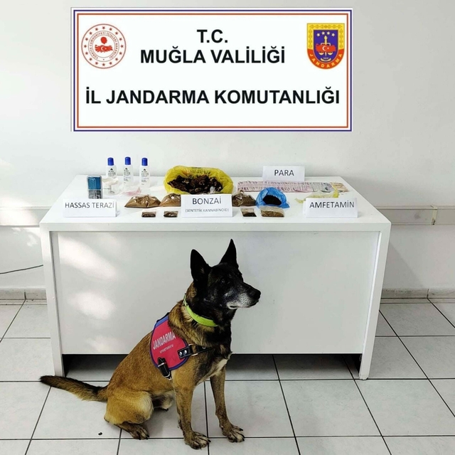 Muğla'da apart odasındaki uyuşturucuyu 'Uçak' buldu; 1 tutuklama