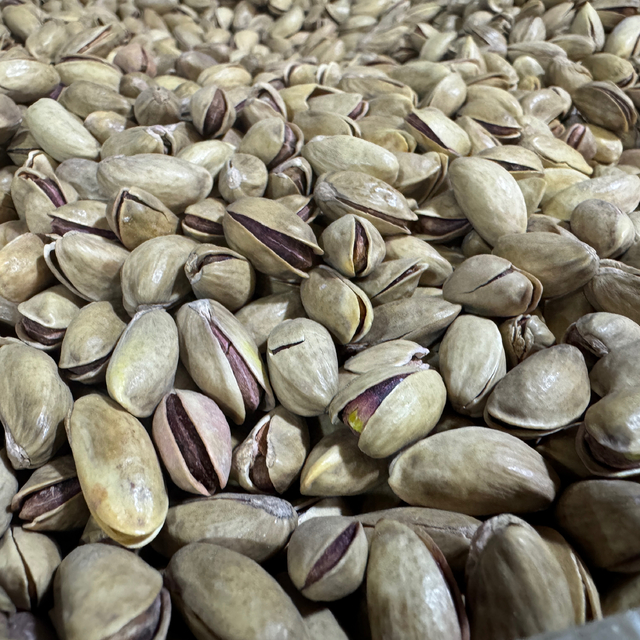 Türkiye'den 2024 yılında 229 milyon dolarlık fıstık ihraç edildi