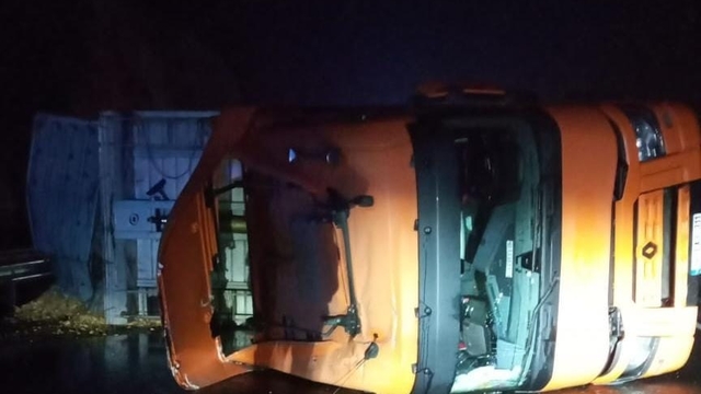 Devrilen talaş yüklü TIR'ın şoförü yaralandı