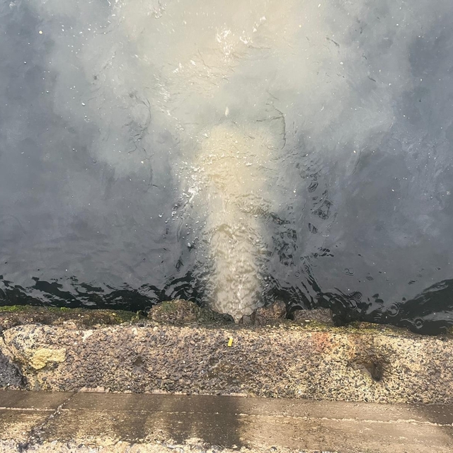 Çevre, Şehircilik ve İklim Değişikliği Bakanlığından İstanbul'da denize atı...