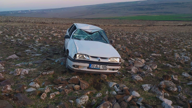 Şanlıurfa'da şarampole devrilen otomobildeki 7 kişi yaralandı