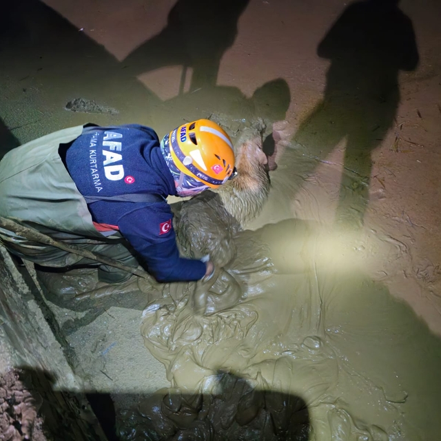 Eskişehir'de çukura düşen köpek kurtarıldı