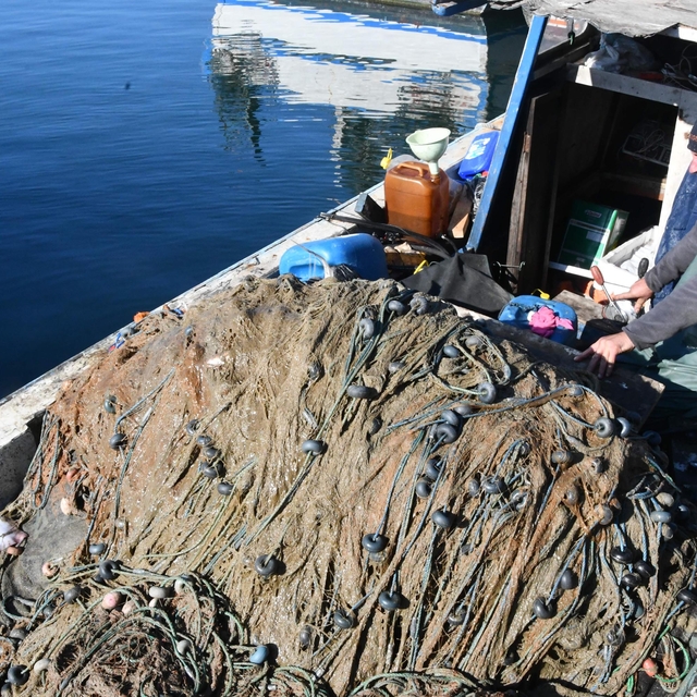 Marmara'da artan müsilaj balıkçıları vurdu; avlanamıyorlar