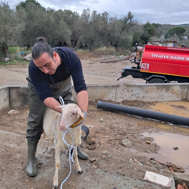 Balıkesir'e su deposunda mahsur kalan koyunu itfaiye kurtardı