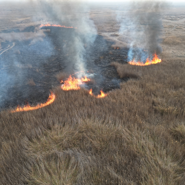 Sultan Sazlığı Milli Parkı'ndaki yangına müdahalede 2'nci gün