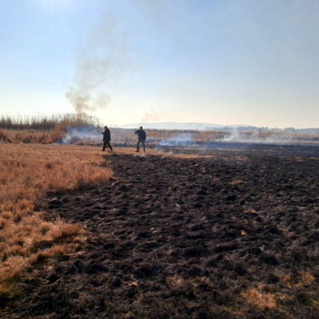 Van'da sazlıktaki yangın, 2 saatte söndürüldü