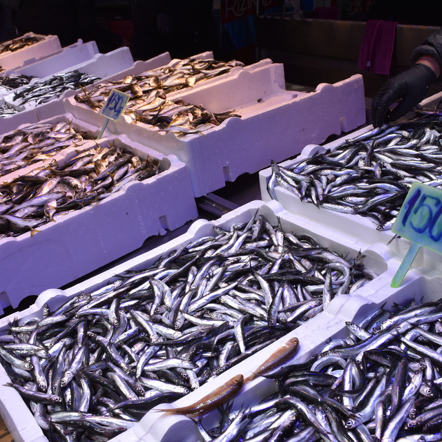 Trabzon'da hamsinin kilogramı 125 ila 150 liradan satışa sunuluyor