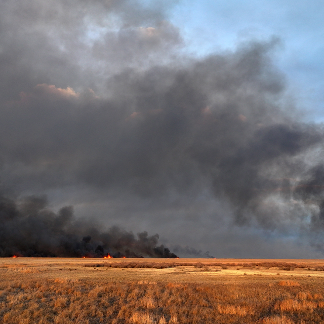Kayseri'deki Sultan Sazlığı Milli Parkı'nda yangın çıktı
