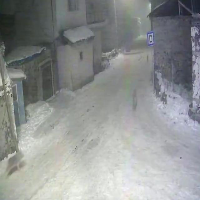 Doğu'da aç kalan kurtlar mahalle ve köylere indi