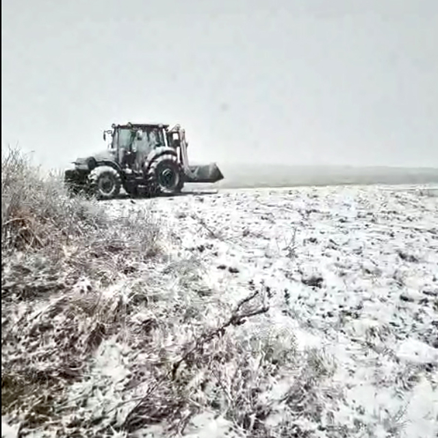 Edirne'de yağan kar, kuru toprağa ekim yapan buğday üreticisini umutlandırd...