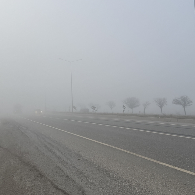 Kahramanmaraş'ta sis etkili oldu