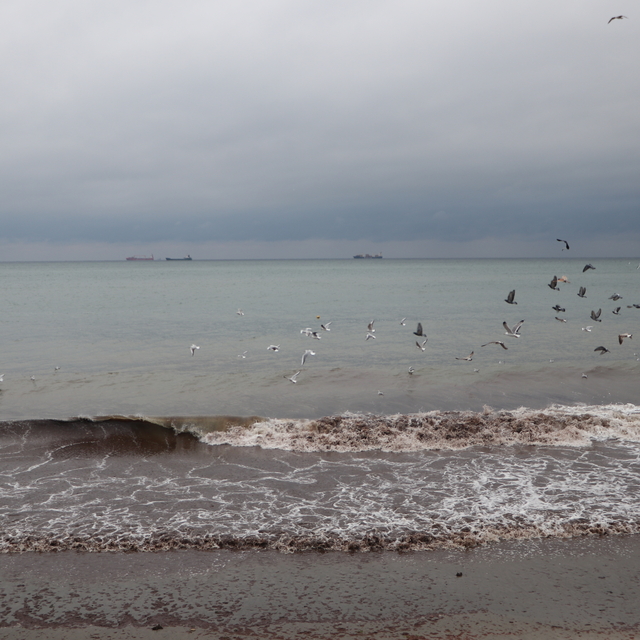 Tekirdağ'da poyraz 3 gündür deniz ulaşımını olumsuz etkiliyor