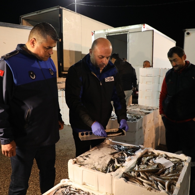 Ordu'da su ürünleri denetimi yapıldı