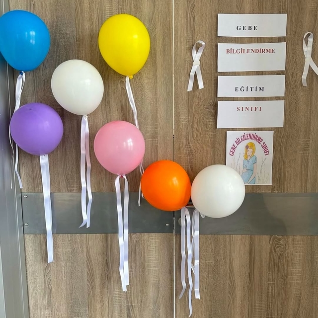 Mudurnu'da anne adaylarına eğitim verilecek