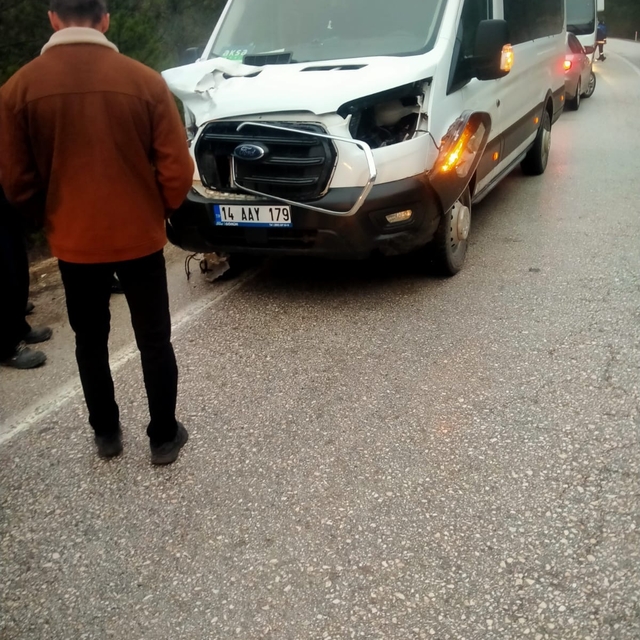 Bolu'da minibüsü çarptığı geyik öldü