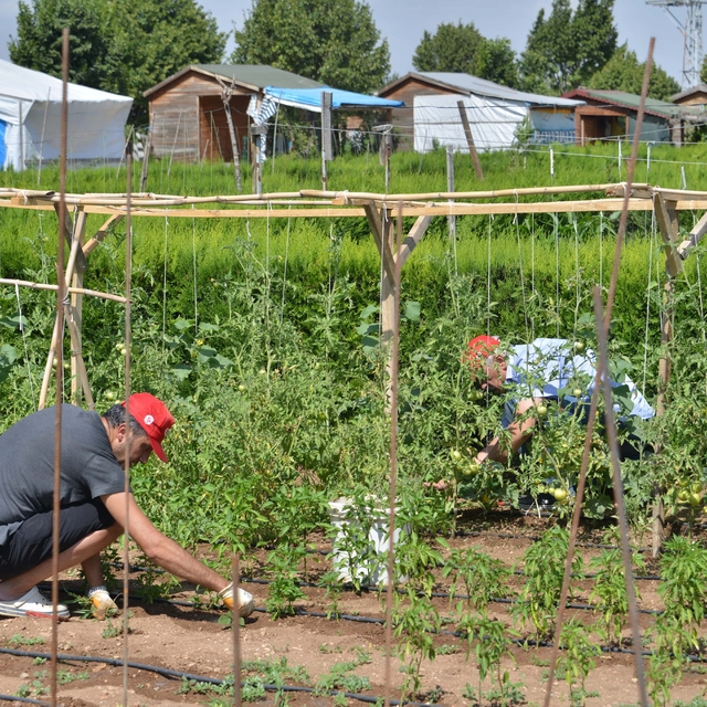 Meram'da hobi bahçeleri için başvurular yarın başlayacak