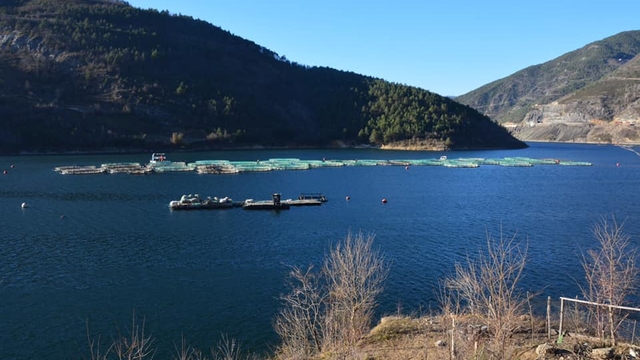 'Çoruh'un gerdanlıkları'nda balık üretimi ile 3 milyar liralık gelir
