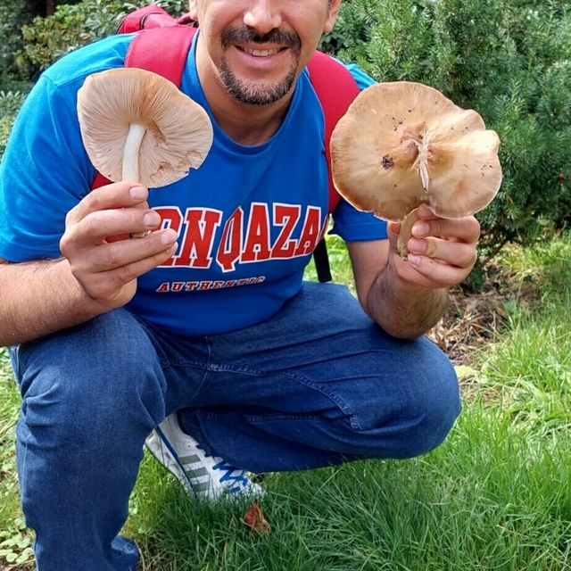 İzmir'de yeni mantar türü keşfedildi