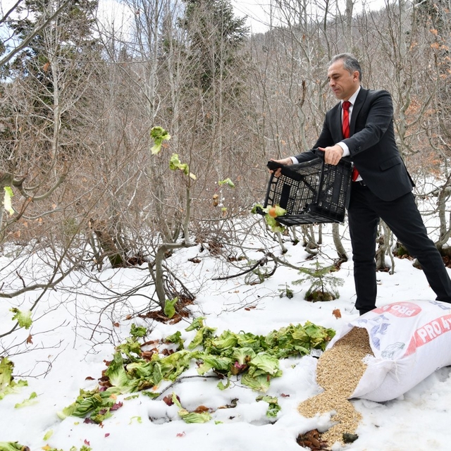 Osmaniye'de yaban hayvanları için doğaya yem bırakıldı