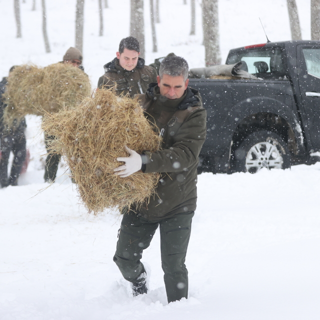 Kırklareli'nde ekipler karlı yolları aşıp yaban hayvanları için doğaya yem...