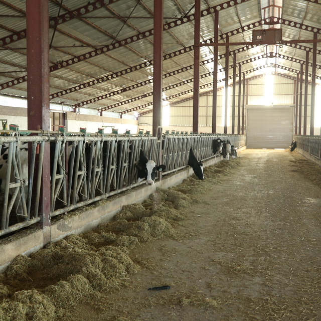 Niğde Ömer Halisdemir Üniversitesinde hayvan bakım eğitimi düzenlendi