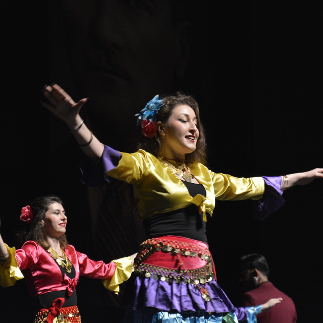 Çalgıcı Mektebi Roman Orkestrası 15'inci yıldönümünü kutladı