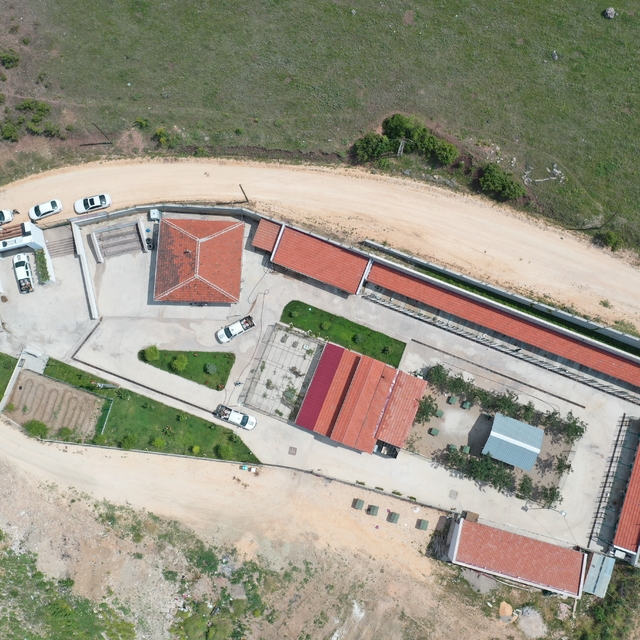 Bilecik Belediyesi 234 kedi ve köpeği sahiplendirildi