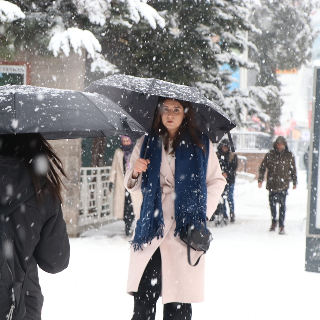 Van'da kar yağışı