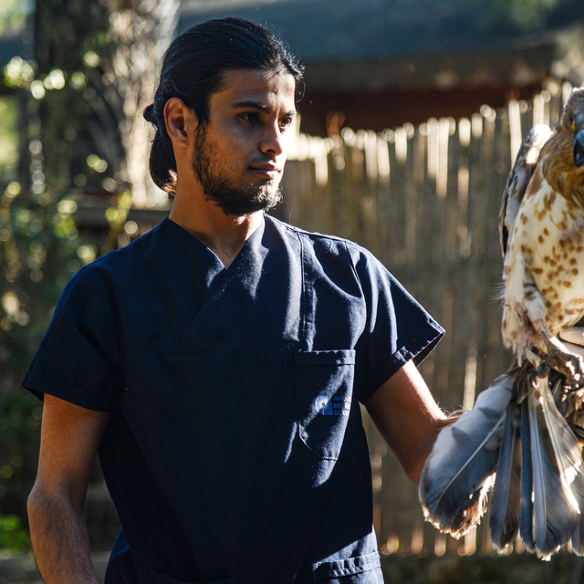 Antalya Doğal Yaşam Parkı'nda geçen yıl 1171 hayvan tedavi edildi