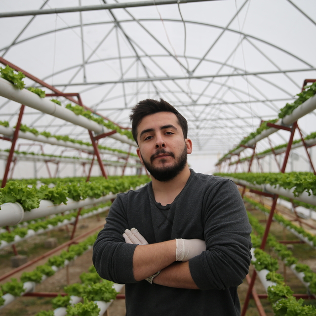 Edirne'de ziraat mühendisi devlet desteğiyle kurduğu topraksız tarım serası...