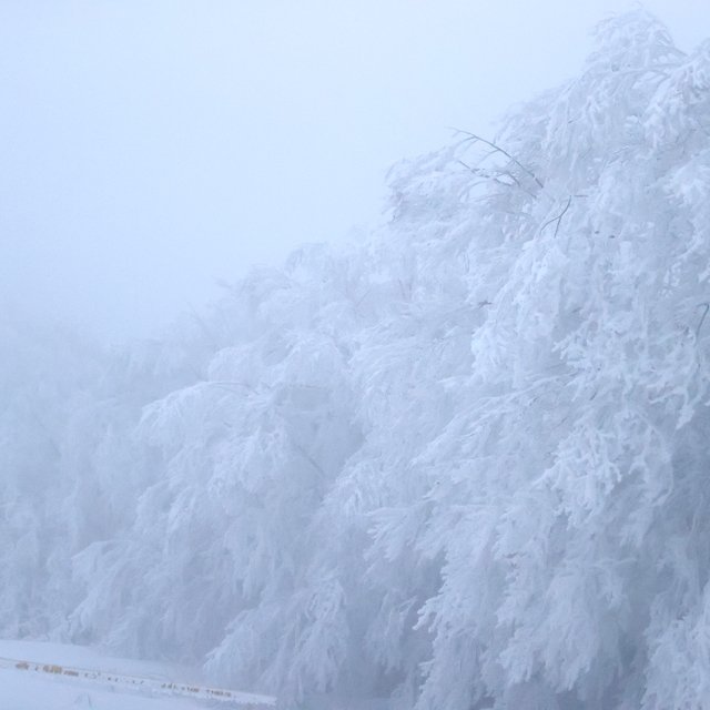Kırklareli'nin yüksek kesimlerinde yoğun sis etkili oldu