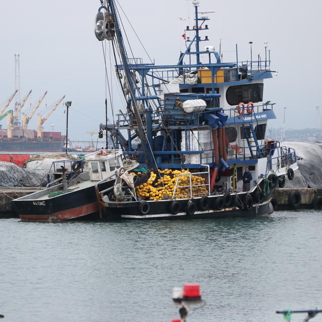 Tekirdağlı balıkçılar 5 gündür poyraz nedeniyle avlanamıyor