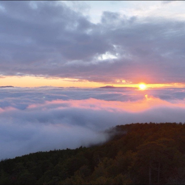Sındırgı'daki Ulus Dağı'nda sis etkili oldu