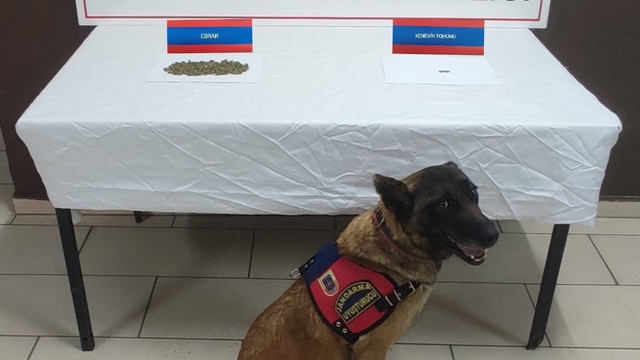 Yozgat'ta uyuşturucu operasyonunda 4 şüpheli yakalandı