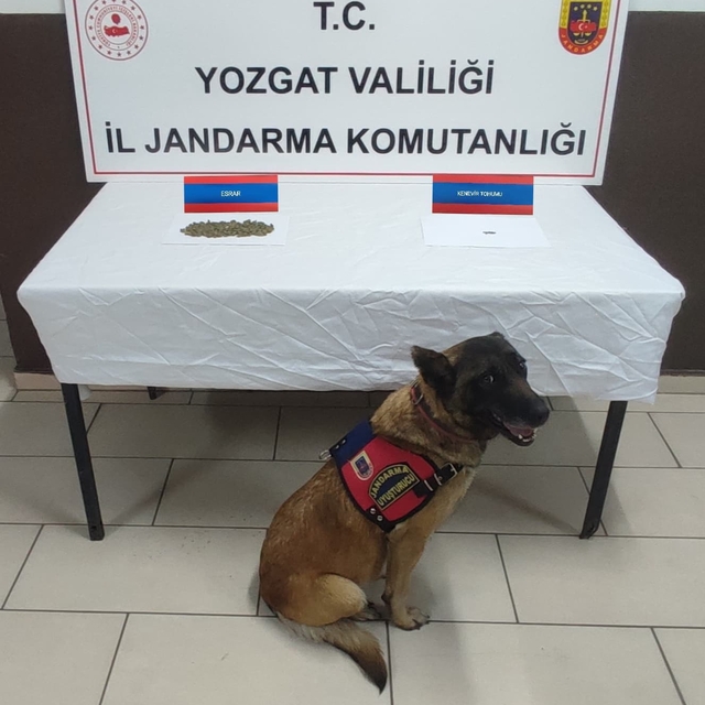 Yozgat'ta uyuşturucu operasyonunda 4 şüpheli yakalandı