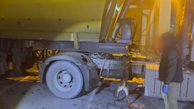 TIR'ın dorsesindeki uyuşturucuyu 'Mailo' buldu; 1 tutuklama