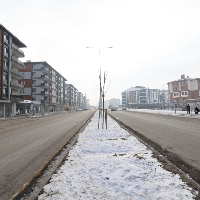 Erzurum'un yeni mahallesi Gezköy'de muhtarlık seçimi yapılacak