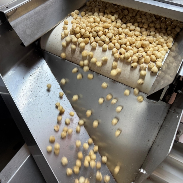 Türkiye fındık ihracatının yüzde 27'sini Almanya'ya yaptı