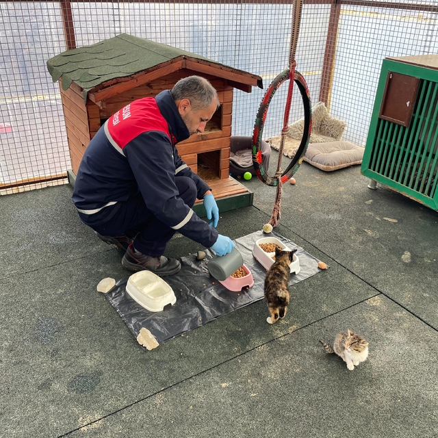 Giresun'da tüketilemeyen yemekler hayvanlar için mamaya dönüştürülüyor