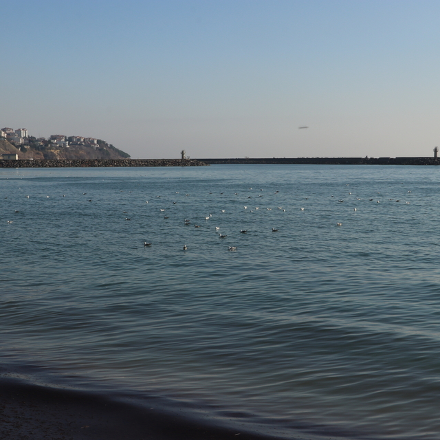 Tekirdağ'da poyraz nedeniyle 5 gündür aksayan deniz ulaşımı normale döndü