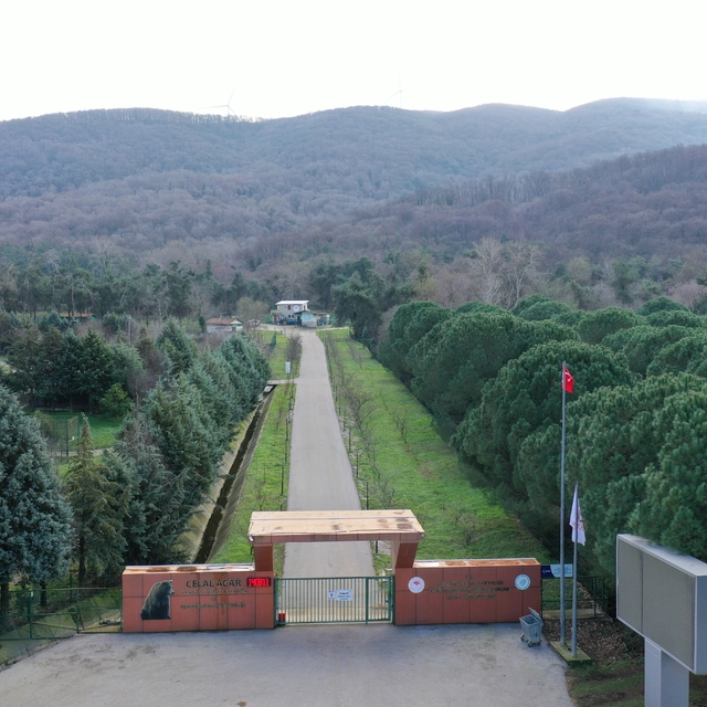 Bursa'daki barınaktan kaçan ayının yakalanması için çalışmalar sürüyor